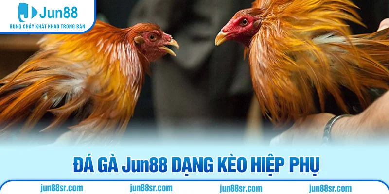 Đá Gà 2 Đá gà Jun88 dạng kèo hiệp phụ